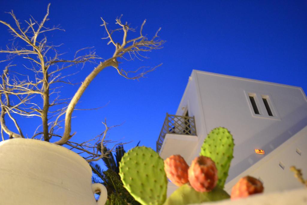 Artemis Hotel Andíparosz Póli Kültér fotó